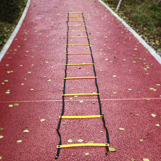 Agility Training Ladder